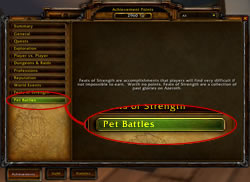 Pet Battles achievement tab