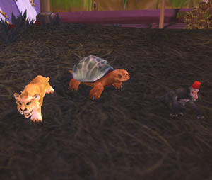 New Darkmoon Faire pets